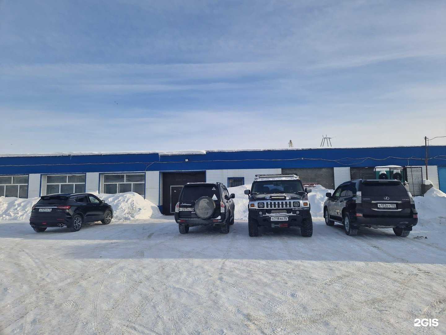 Отзывы на компанию Лев в г. Омск c фото