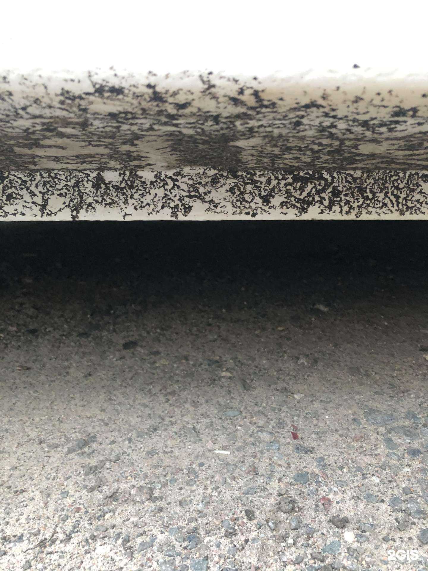 Отзывы на компанию H2O в г. Владимир c фото