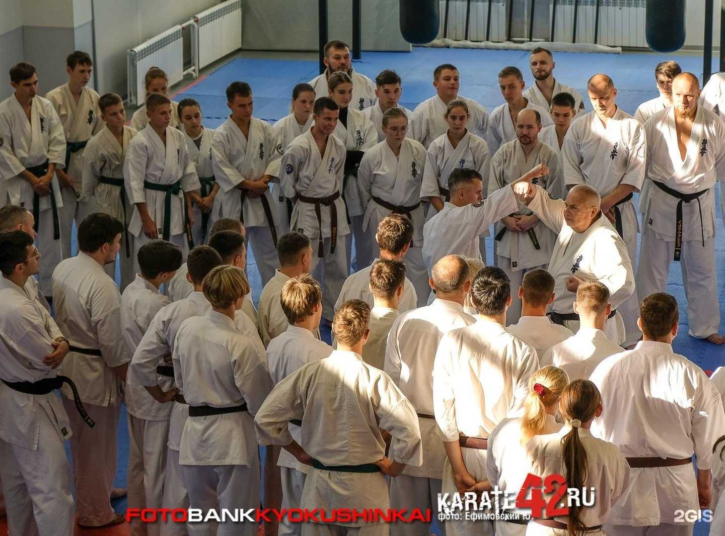 Отзывы на компанию Bushido в г. Кемерово c фото