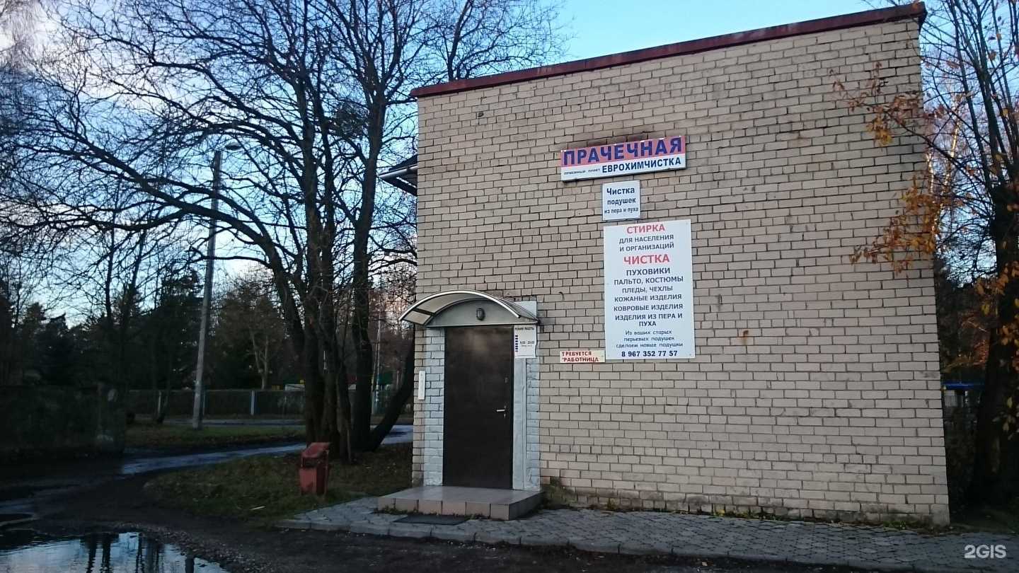 Отзывы на компанию Химчистка в Светлогорске c фото