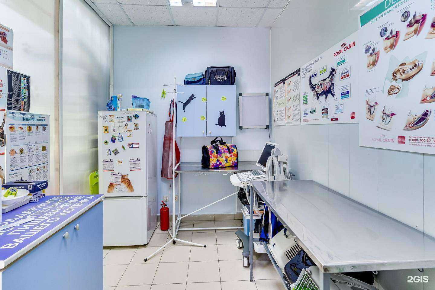 Отзывы на компанию Четыре Лапы в Батайске c фото