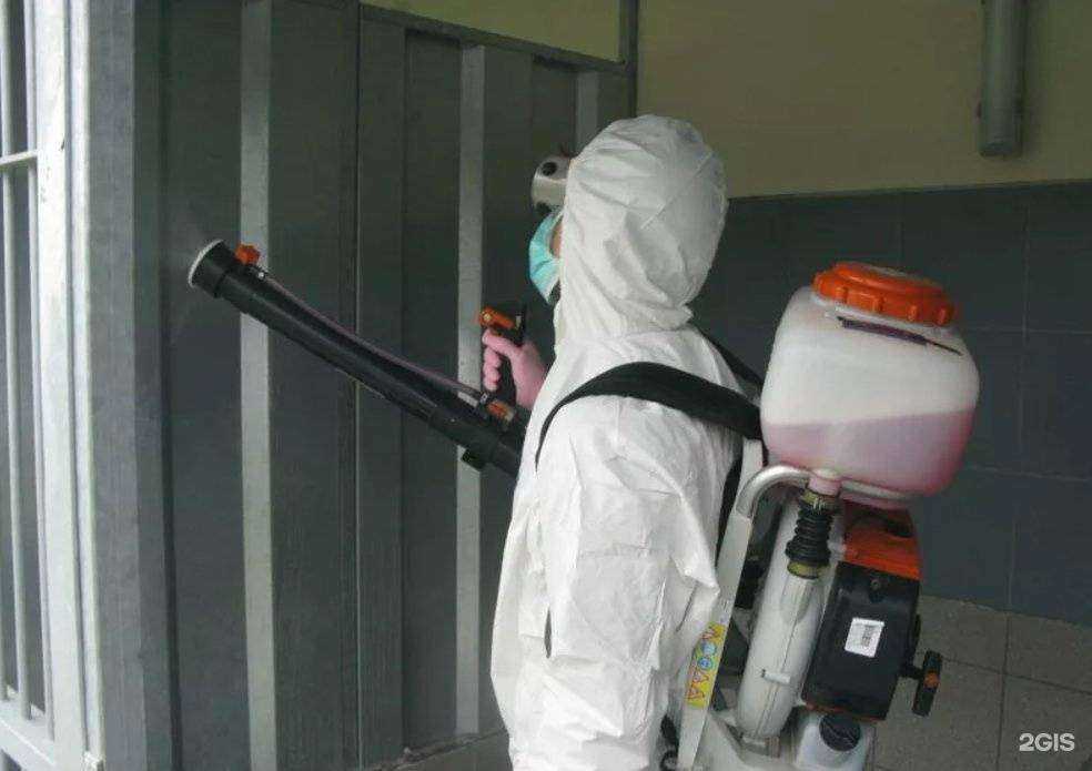 Отзывы на компанию Дезконтроль в Челябинске c фото