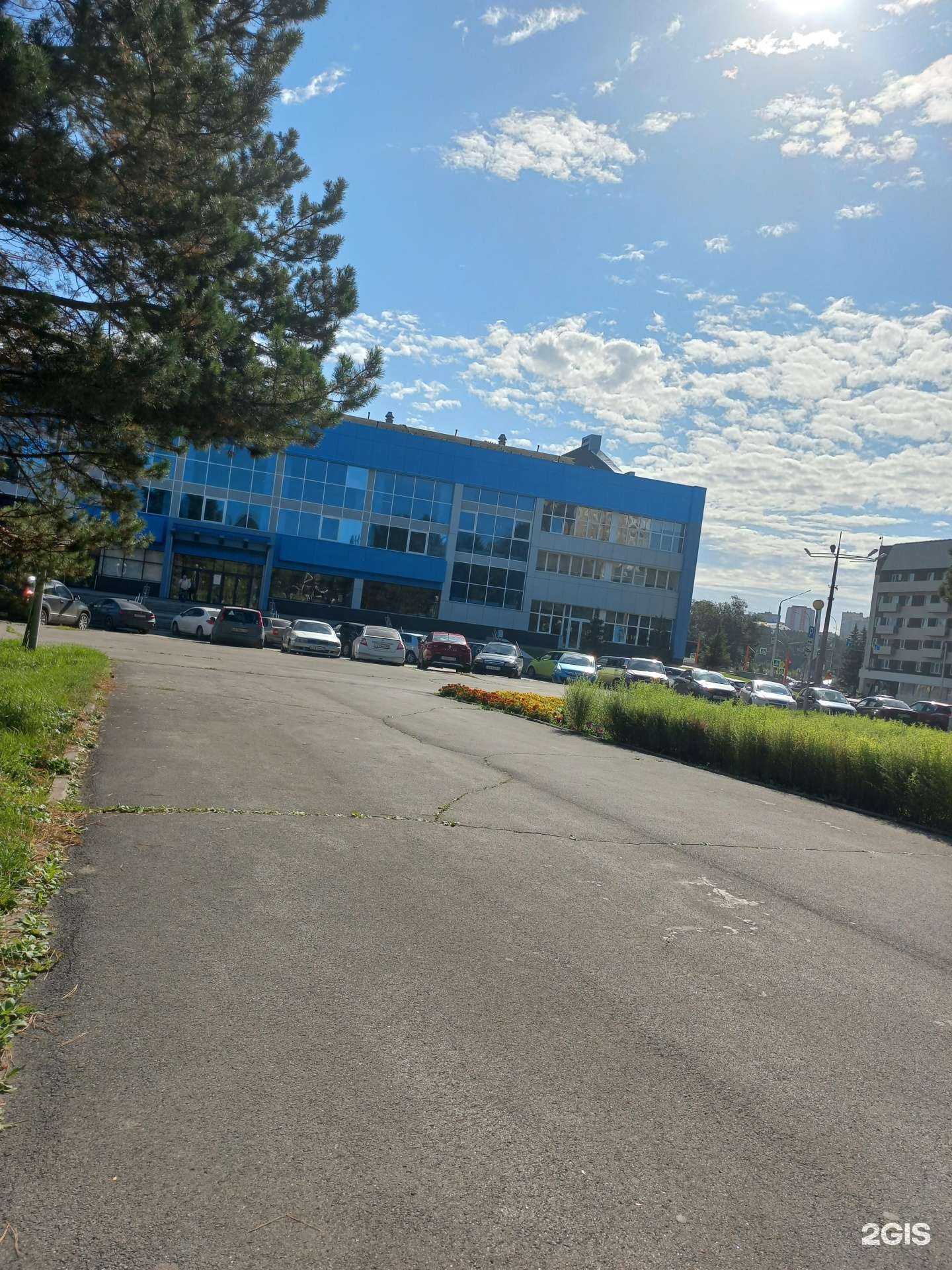 Отзывы на компанию Спортивная школа Кузбасса по плаванию в г. Кемерово c фото