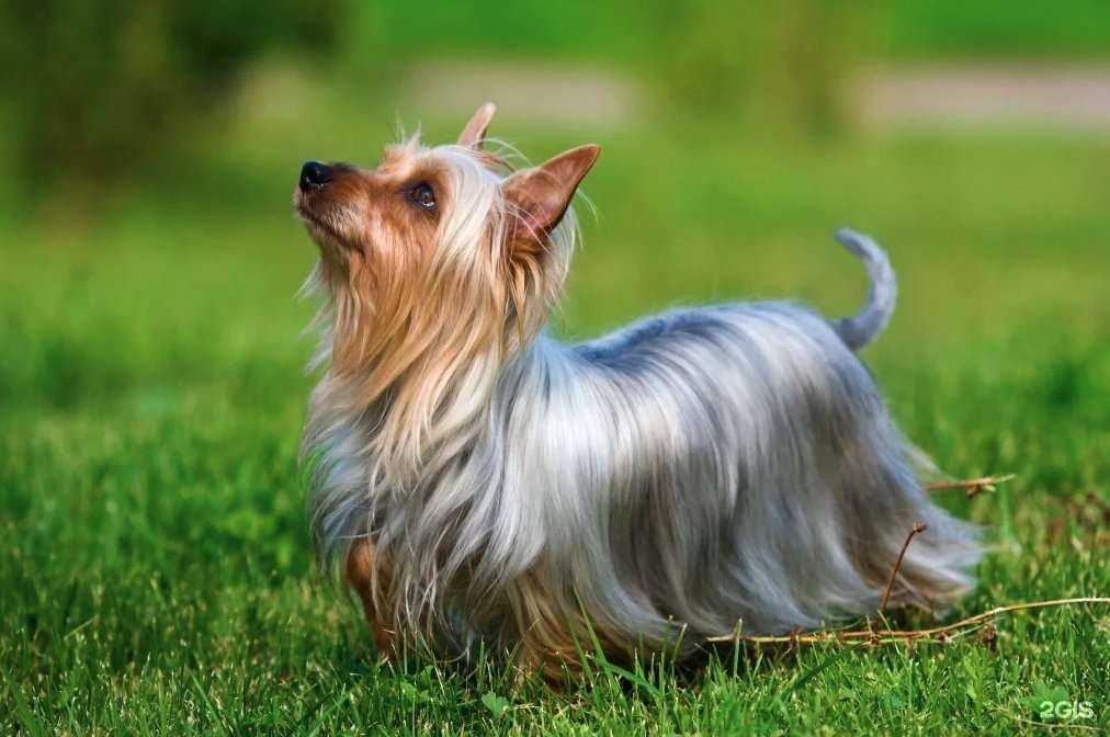 Отзывы на компанию Monbon.ru в Новороссийске c фото