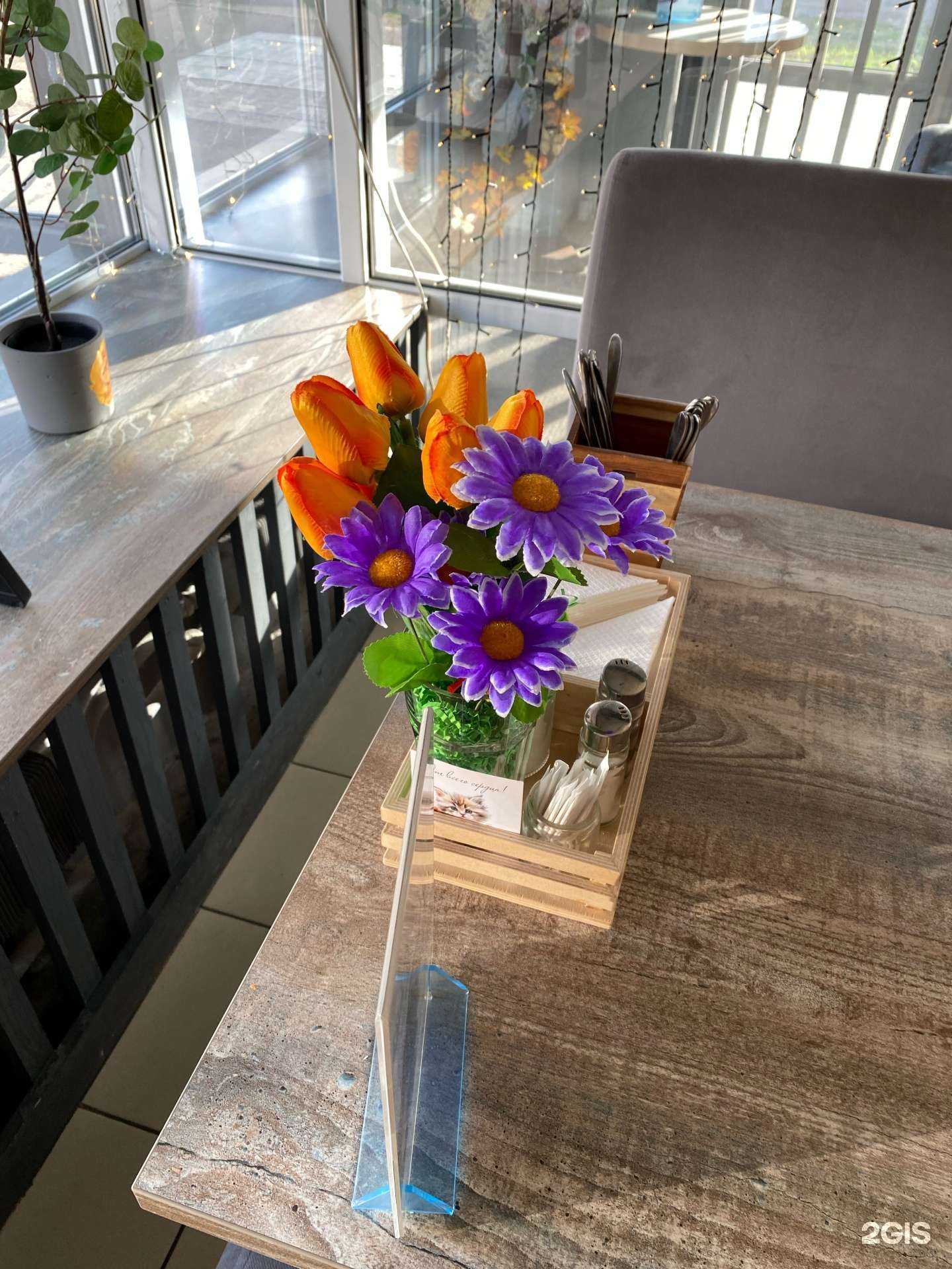 Отзывы на компанию Сова в Тольятти c фото