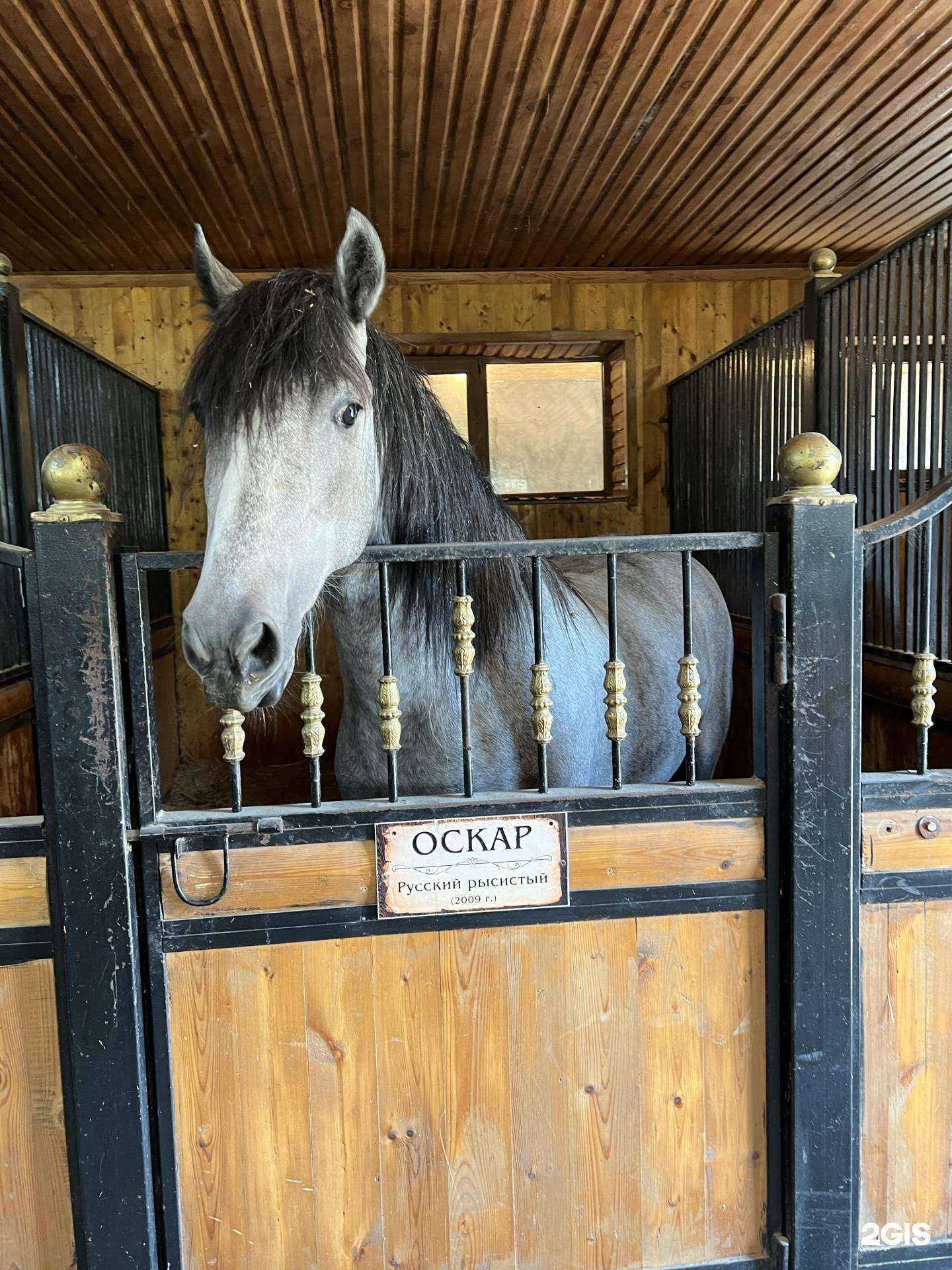 Отзывы на компанию SiraDin в Грозном c фото