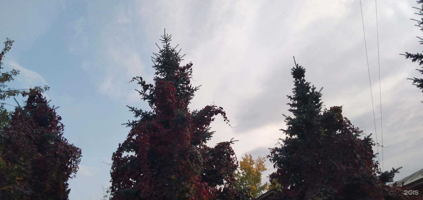 Отзывы на компанию Ладушки в Красноярске c фото - фотография 2 из 2