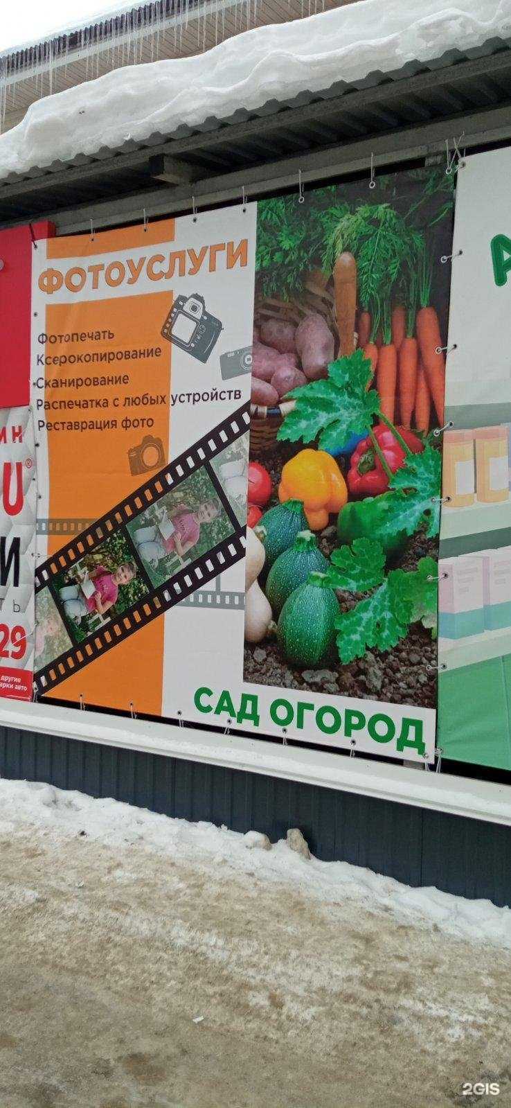 Отзывы на компанию Сад и огород в Пензе c фото