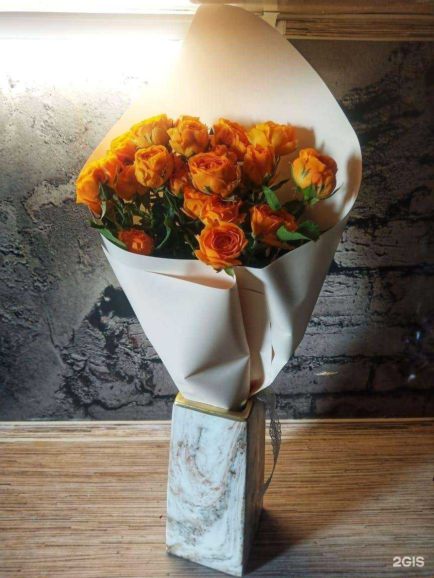 Отзывы на компанию Ameliya в г. Владивосток c фото