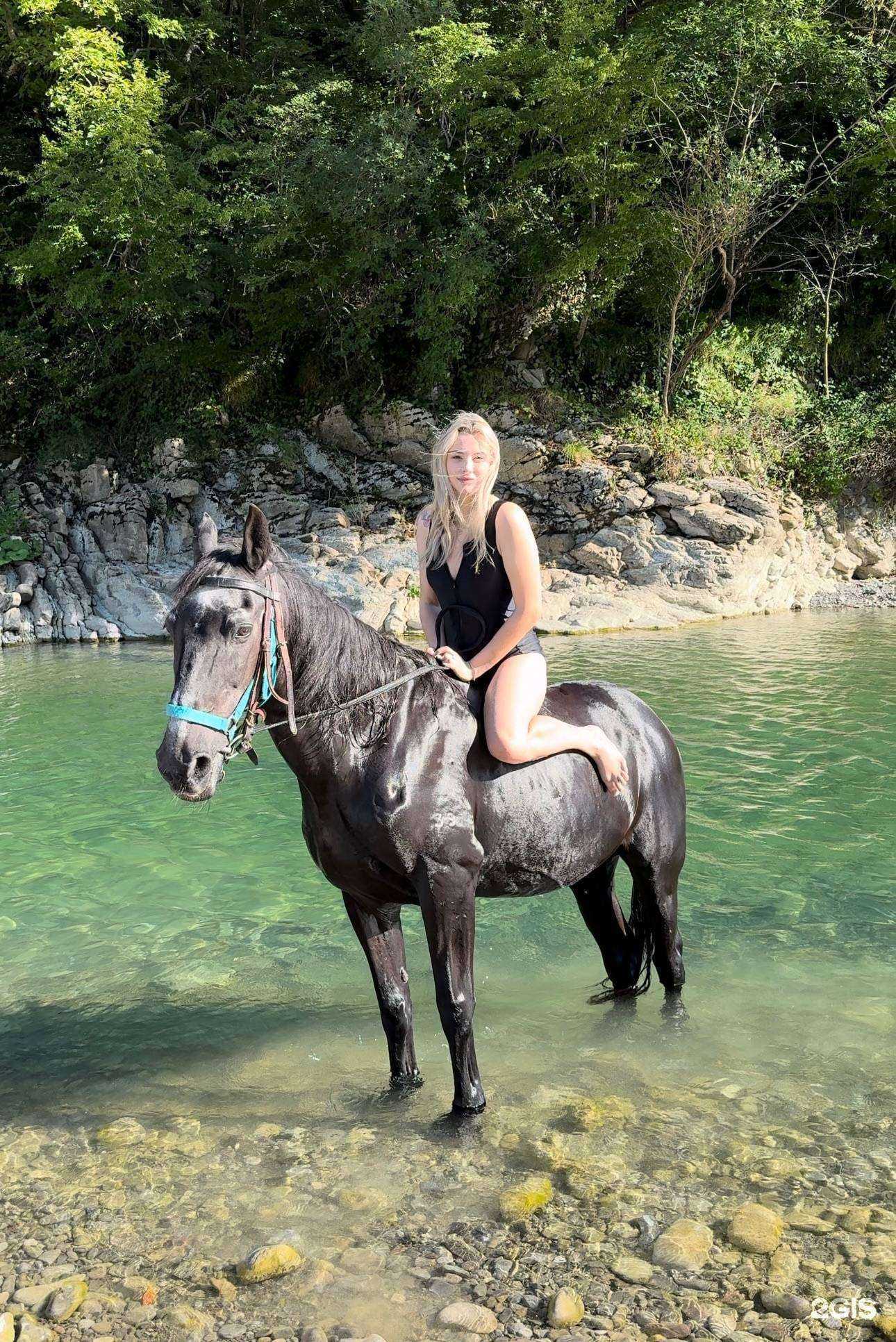 Отзывы на компанию КСК Ковбой в г. Сочи c фото