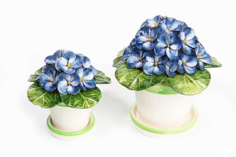 Отзывы на компанию Венеция в Самаре c фото