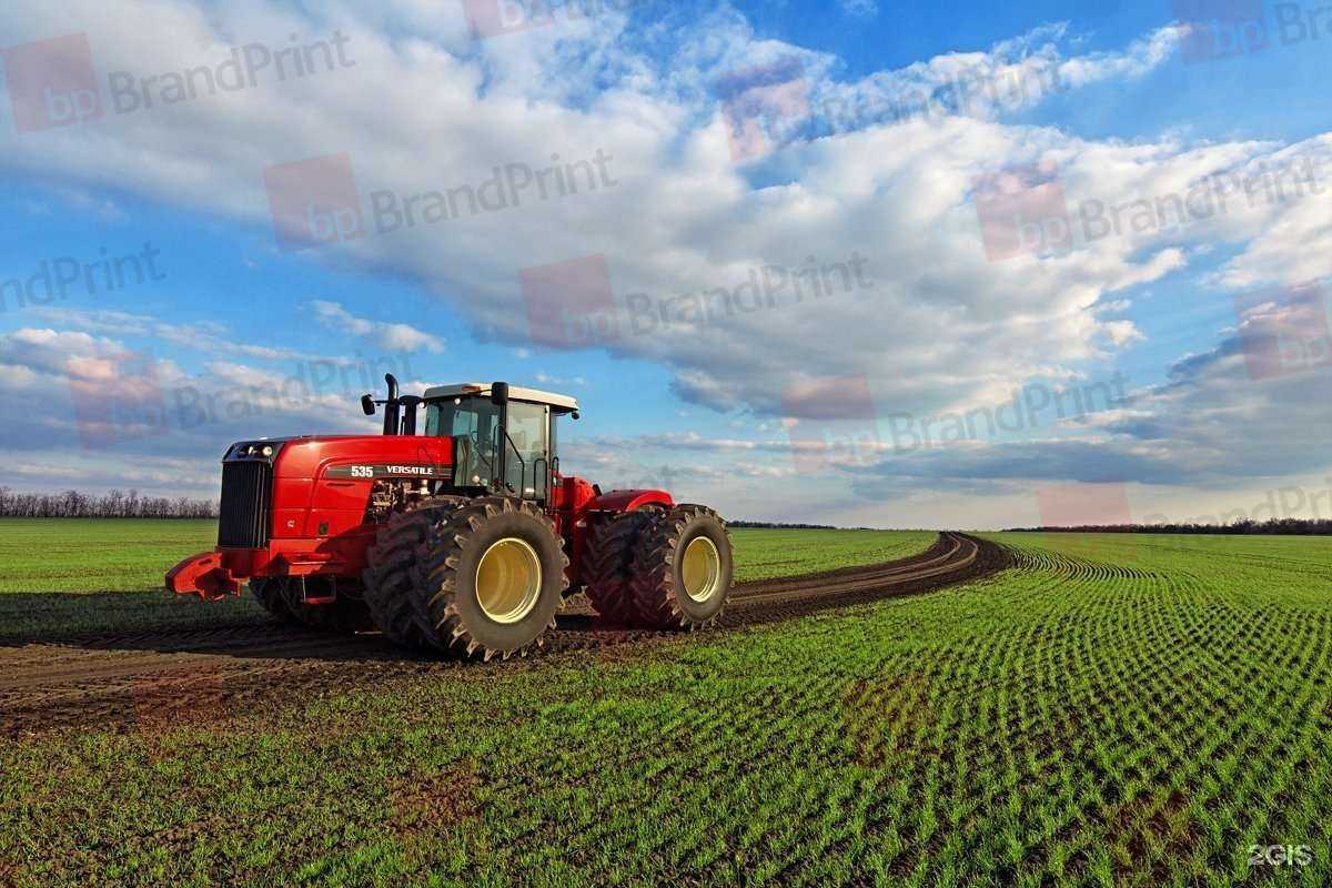 Отзывы на компанию БрендПринт в г. Армавир c фото