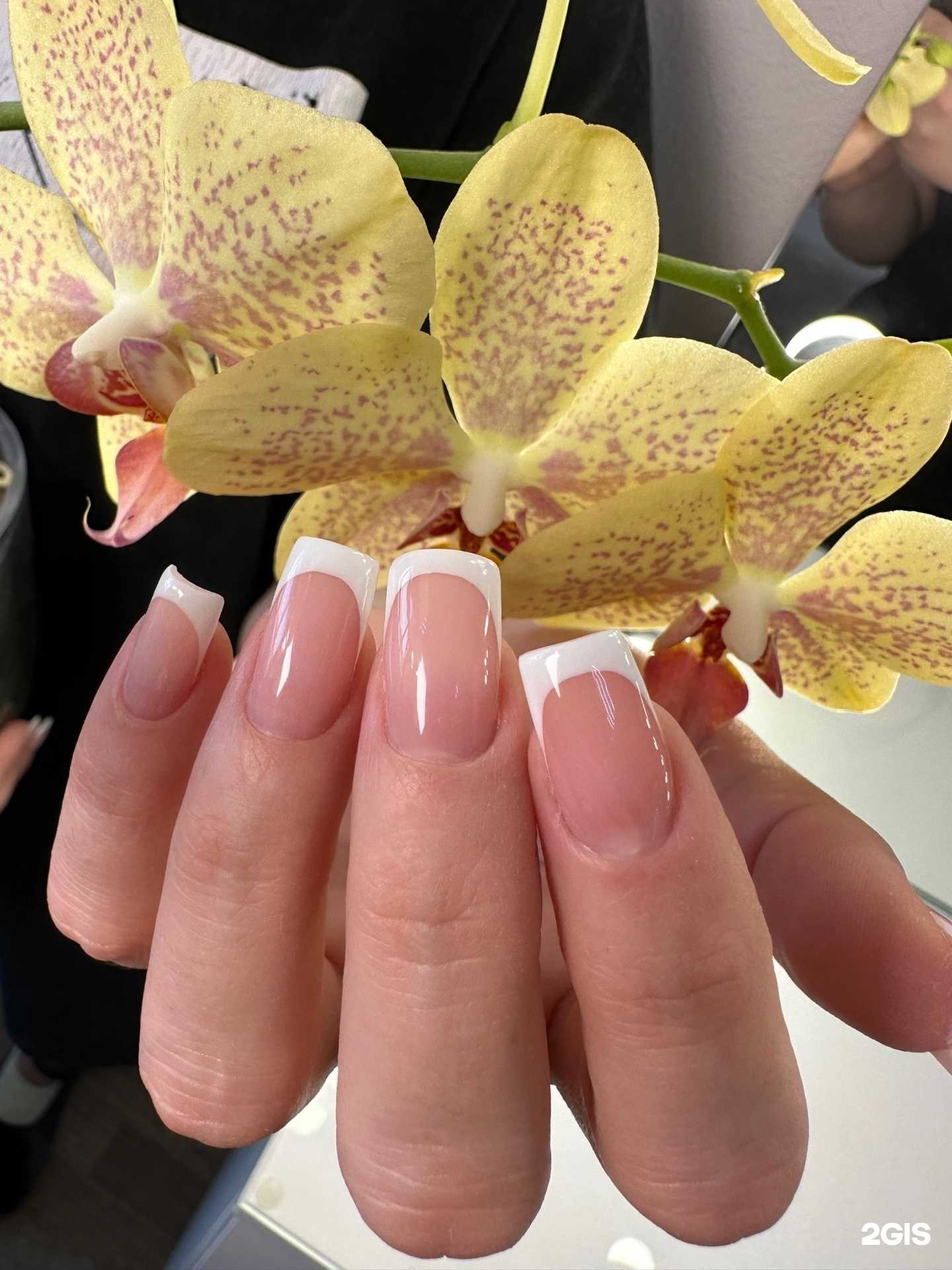 Отзывы на компанию Kler в г. Ялуторовск c фото