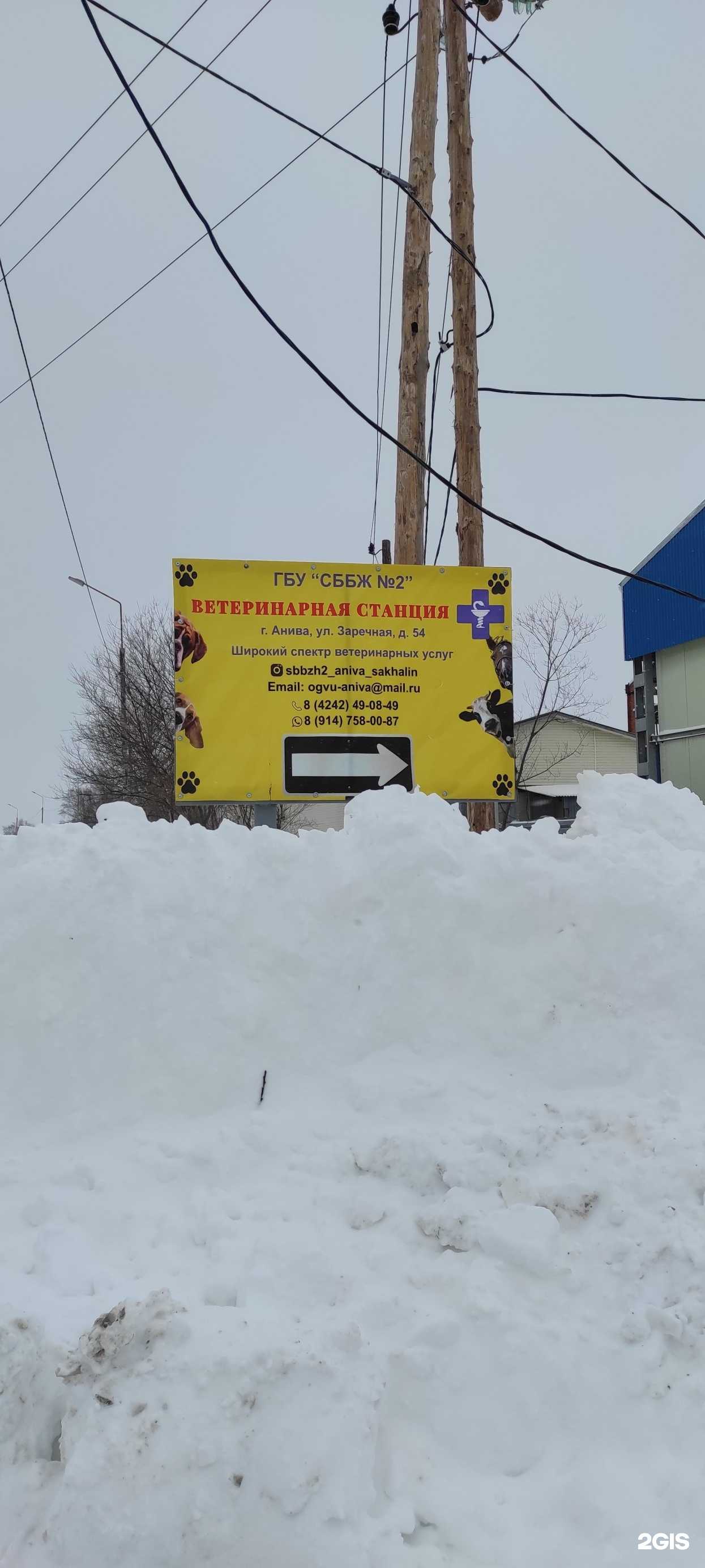 Отзывы на компанию Станция по борьбе с болезнями животных №2 в Аниве c фото