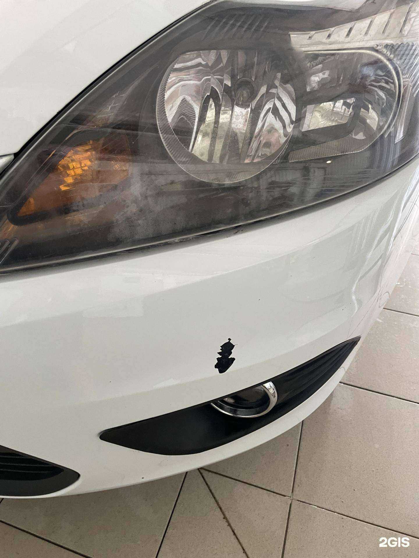 Отзывы на компанию Дельфин в Саранске c фото