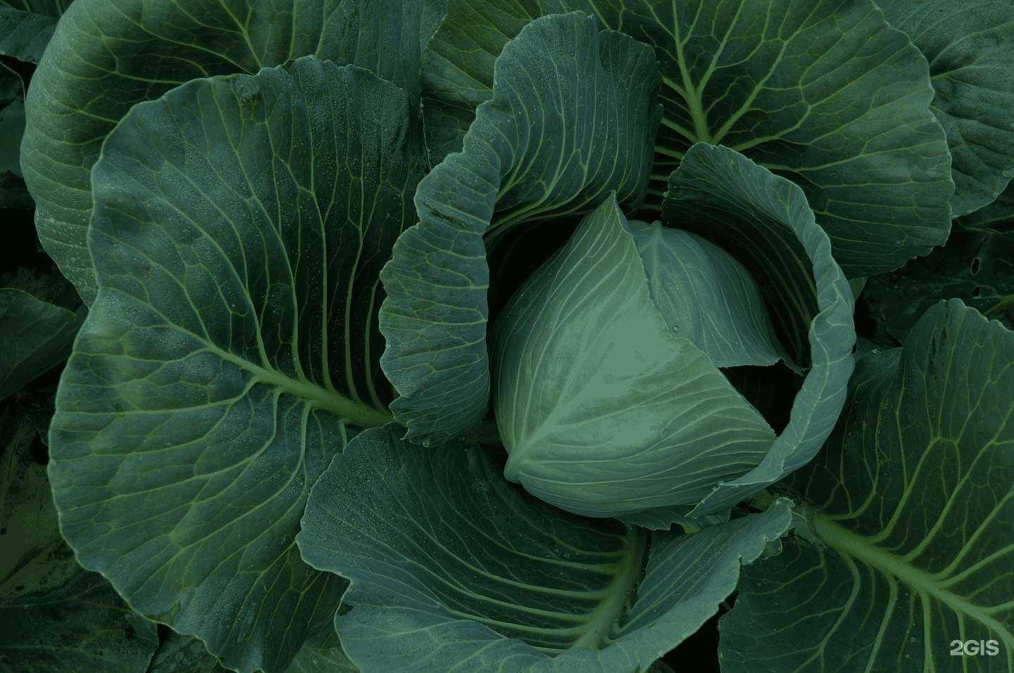 Отзывы на компанию Агрос в Новосибирске c фото