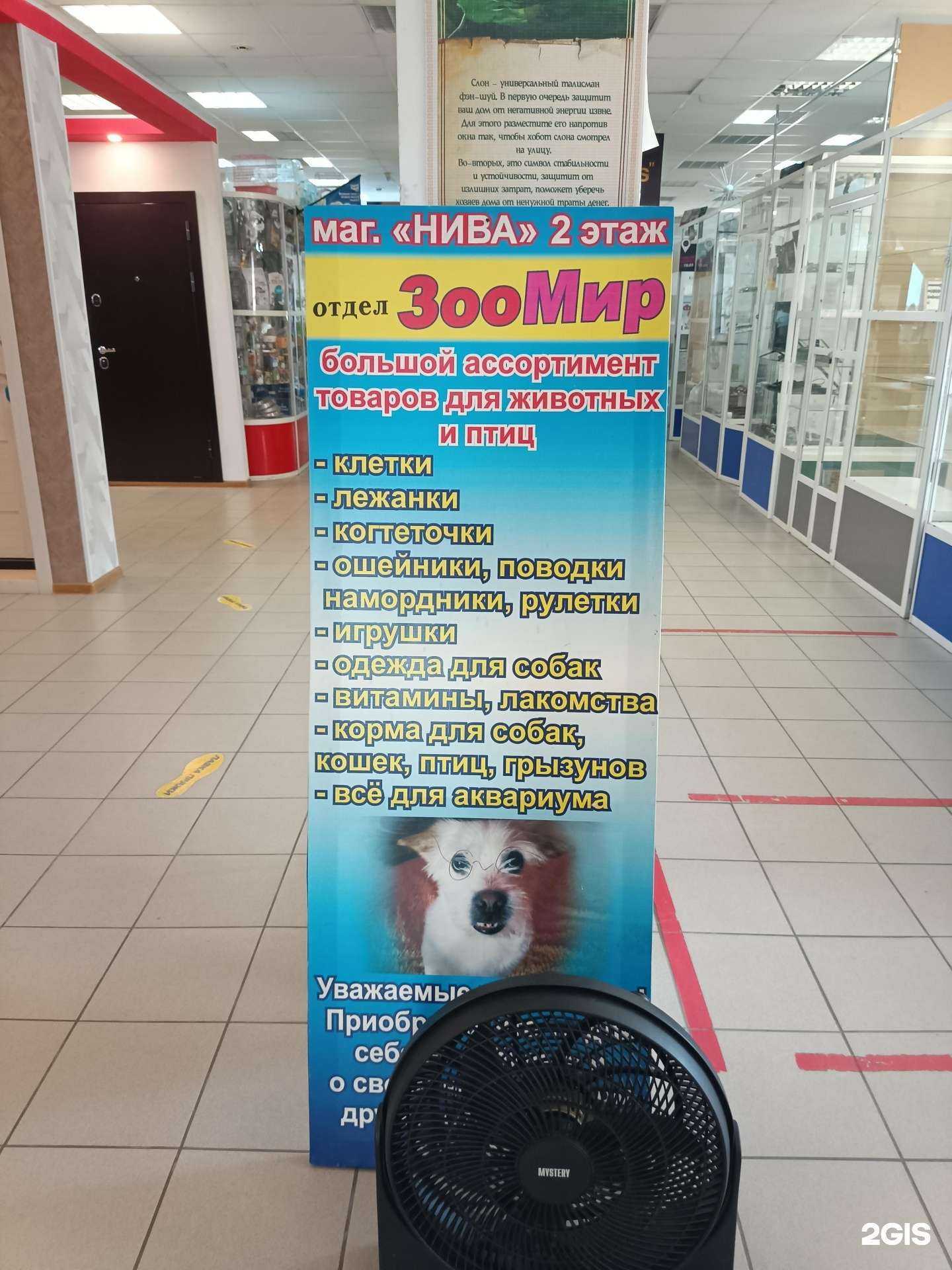 Отзывы на компанию Зоомир в г. Ачинск c фото