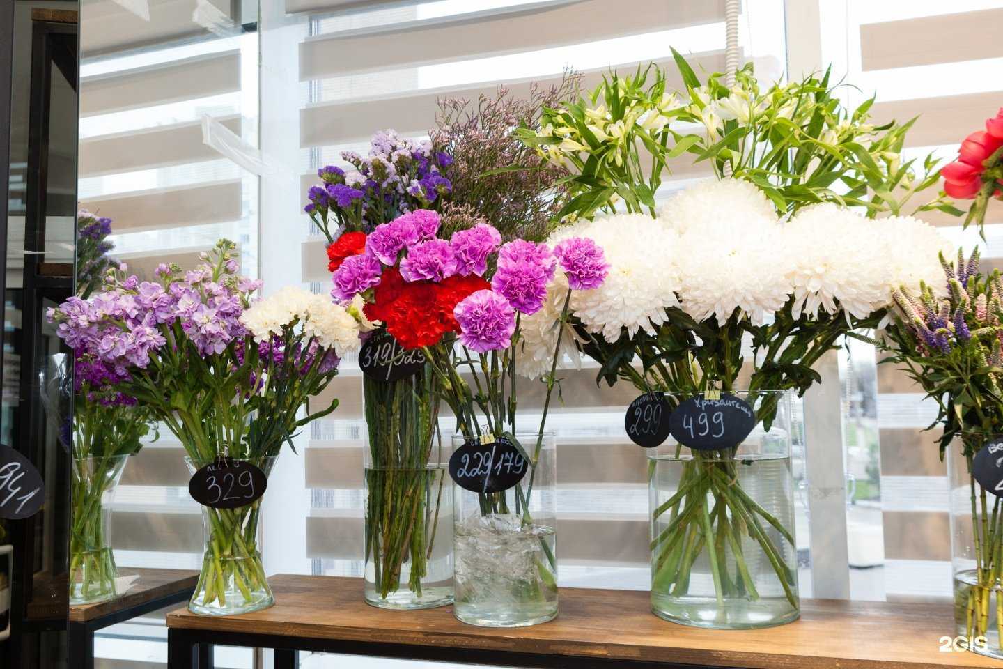 Отзывы на компанию Ирис в г. Химки c фото