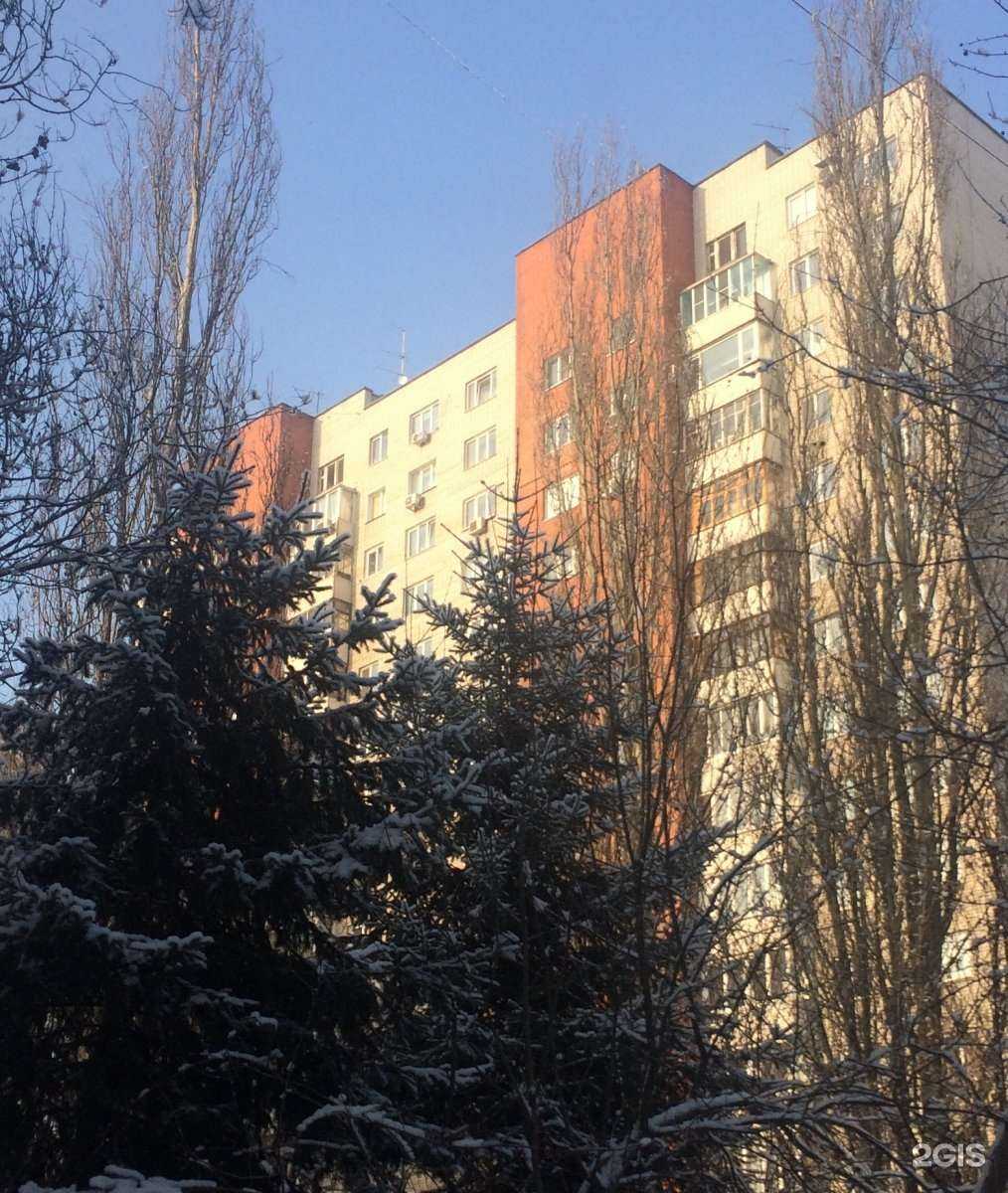 Отзывы на компанию Алтайский центр недвижимости и государственной кадастровой оценки в Барнауле c фото - фотография 2 из 2