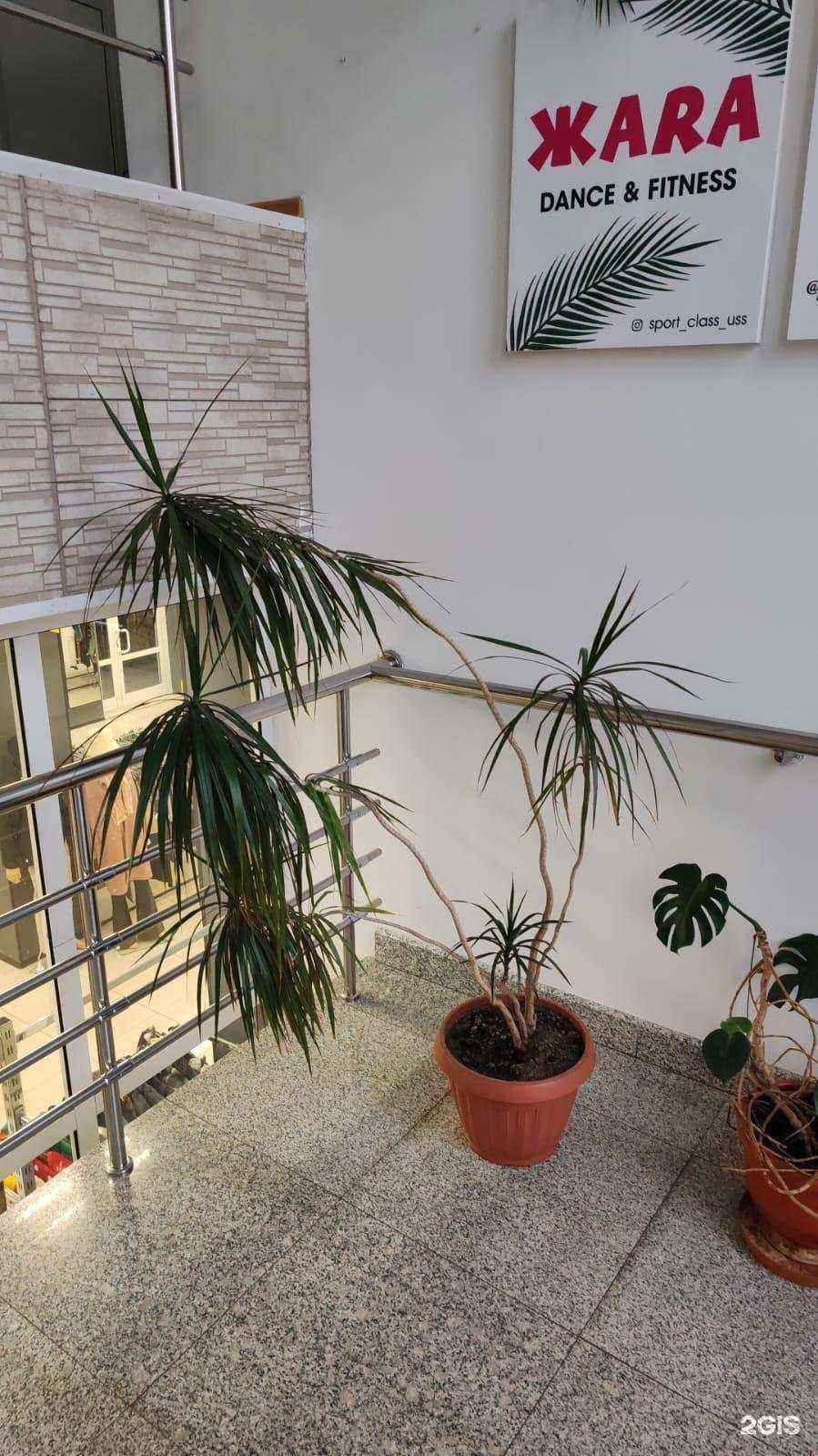 Отзывы на компанию КурьерМаркет в Уссурийске c фото