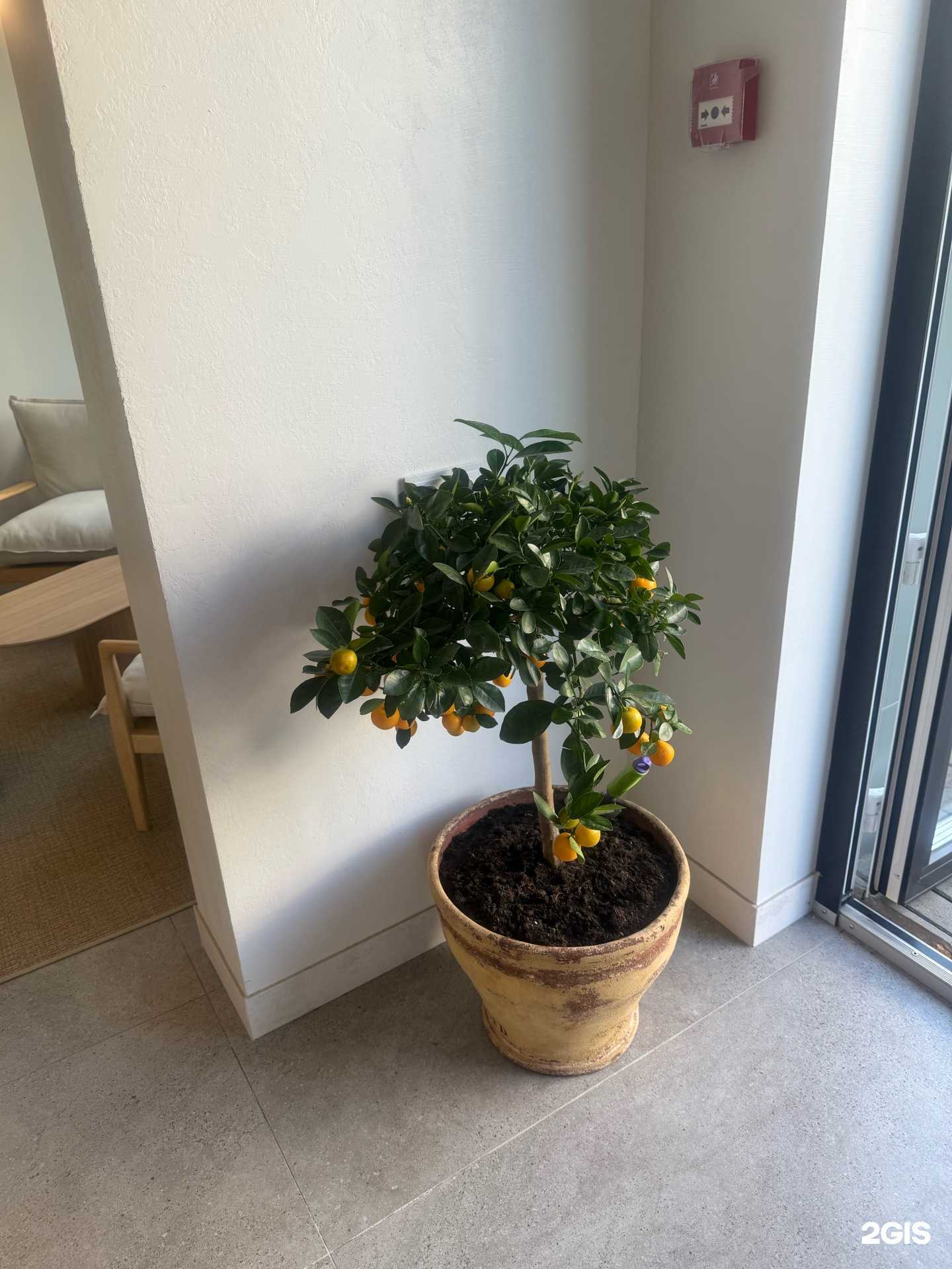 Отзывы на компанию Tonka bon в Кемерове c фото