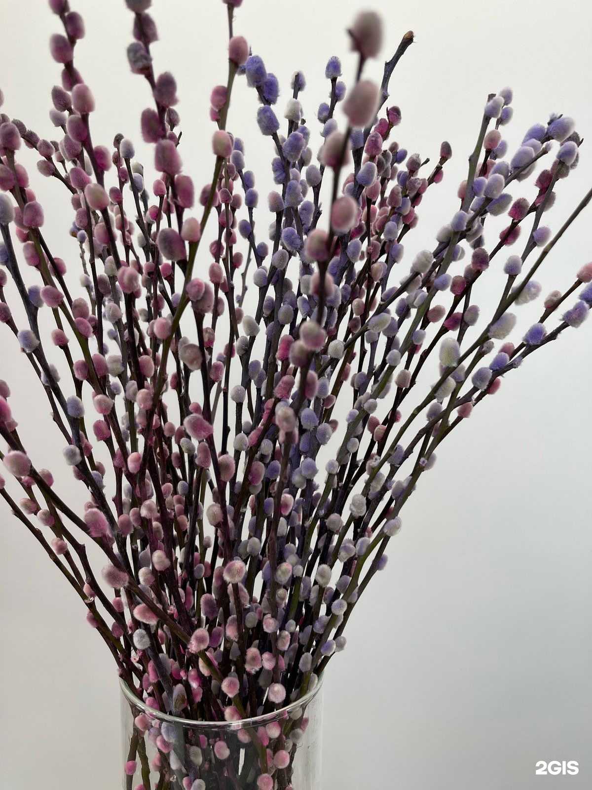 Отзывы на компанию Дом Цветов в Сургуте c фото