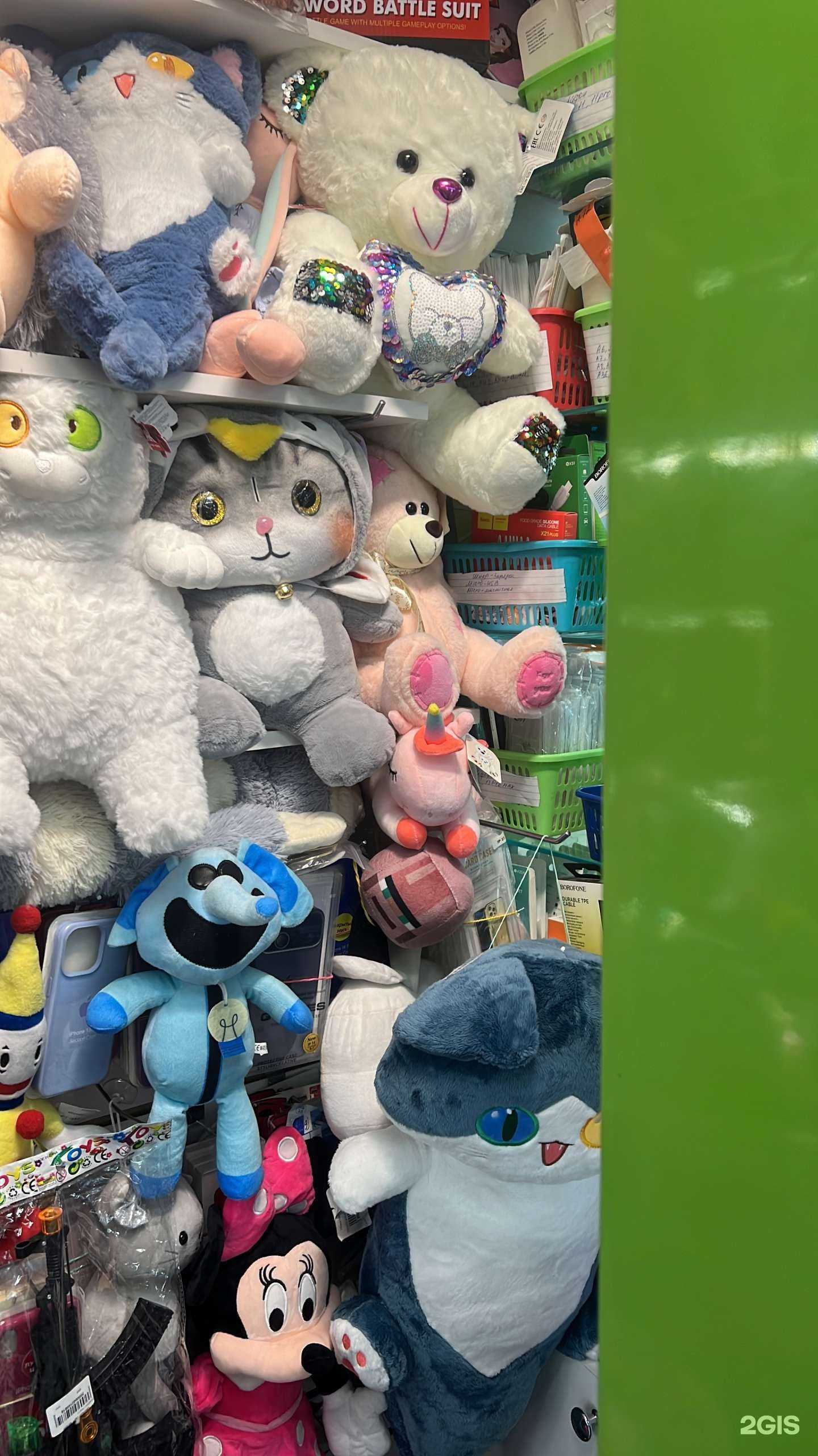 Отзывы на компанию Kaktus в Астрахани c фото