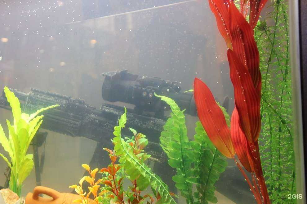 Отзывы на компанию Тпк Аргус-нв в Дзержинском c фото