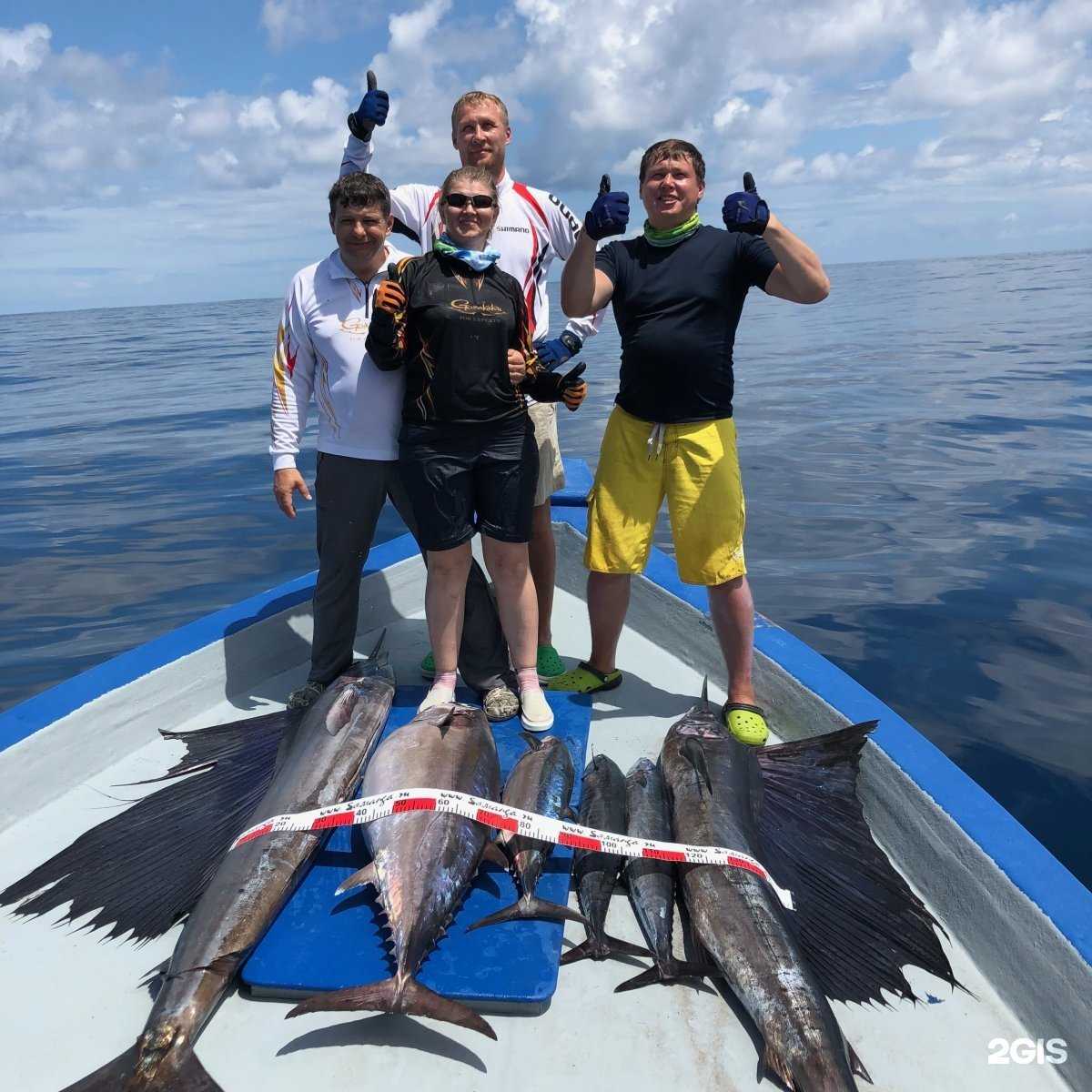 Отзывы на компанию Maguro&Samarga в Владивостоке c фото