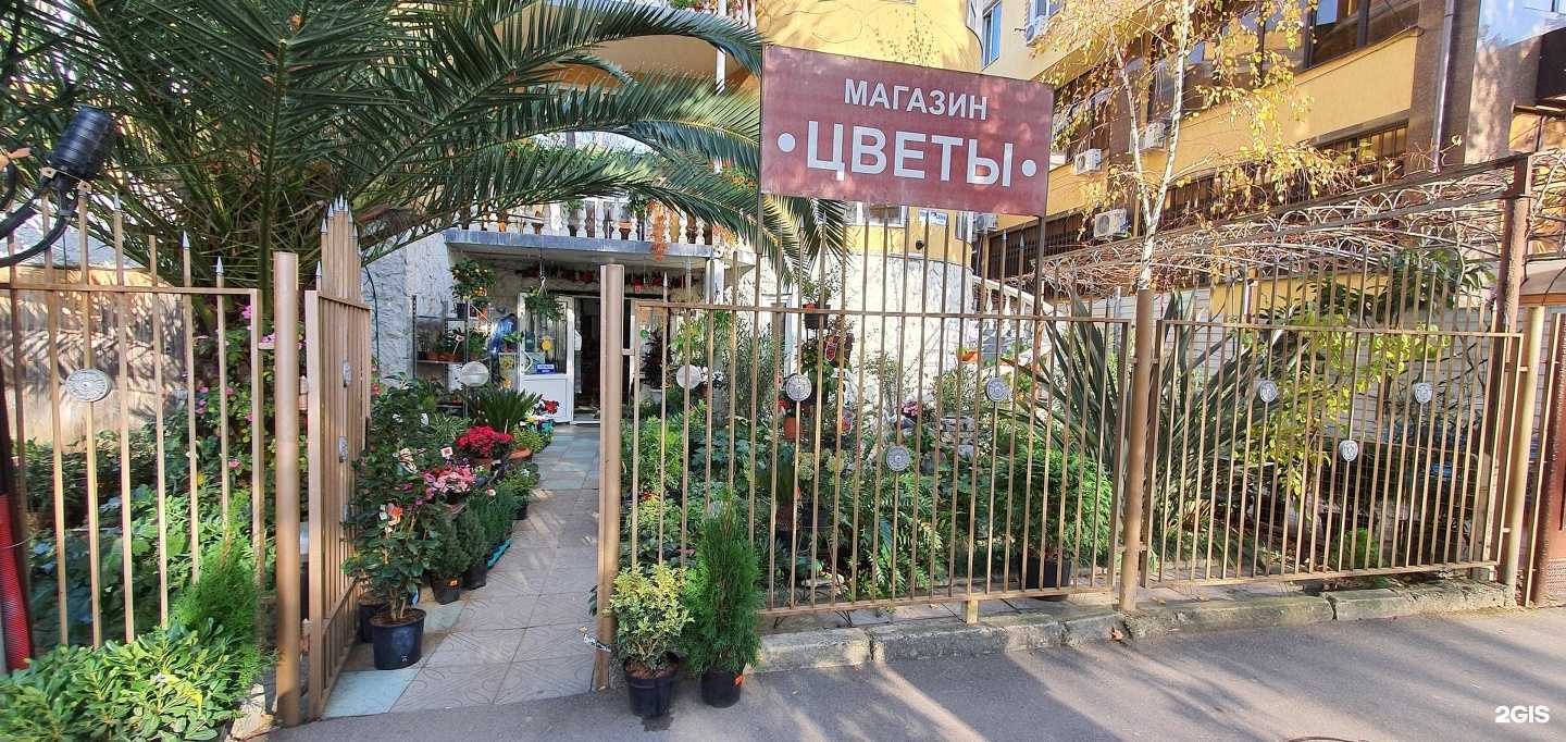 Отзывы на компанию Цветочный мир в г. Сочи c фото