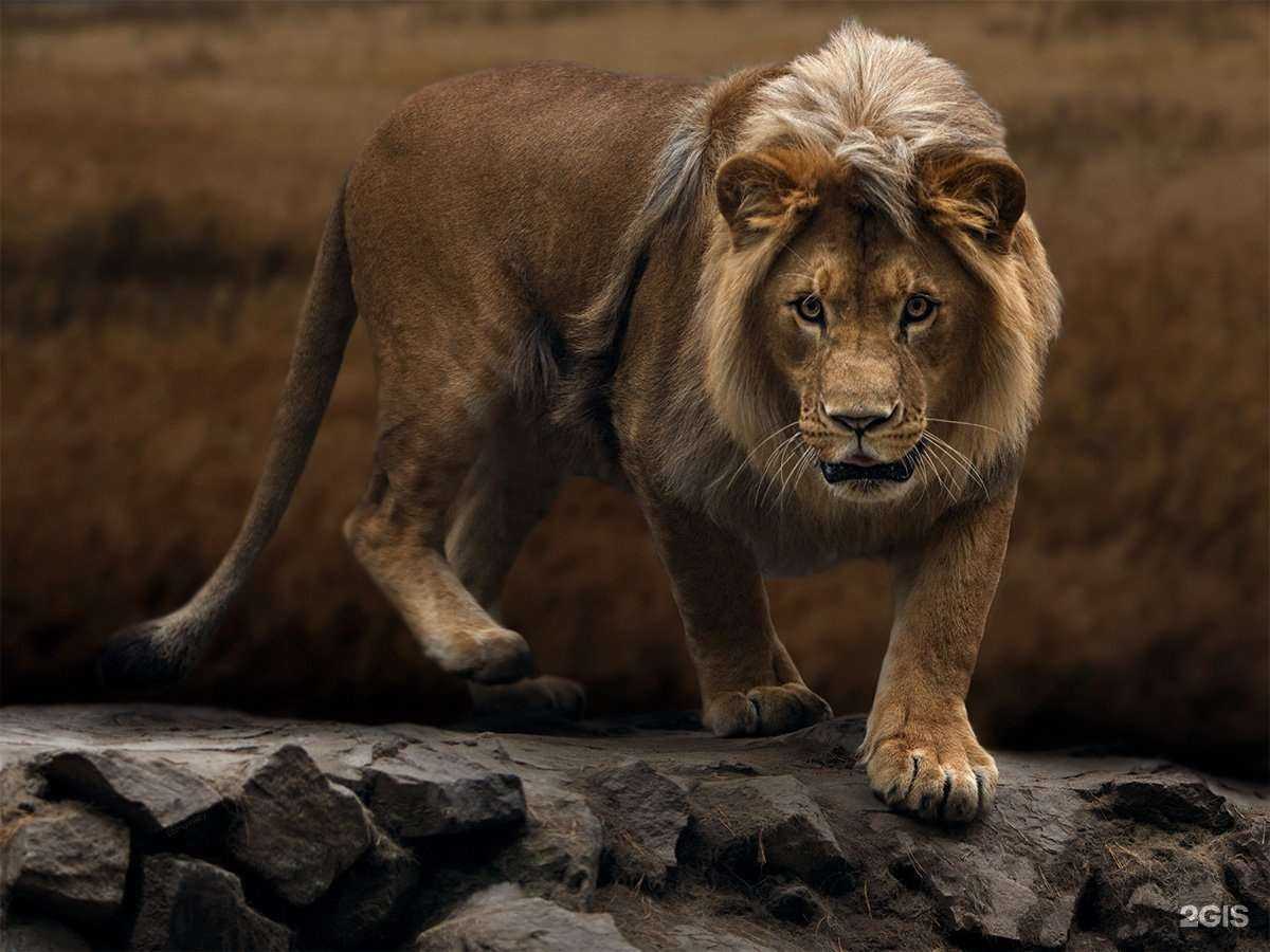 Отзывы на компанию Фотостудия в Кемерове c фото