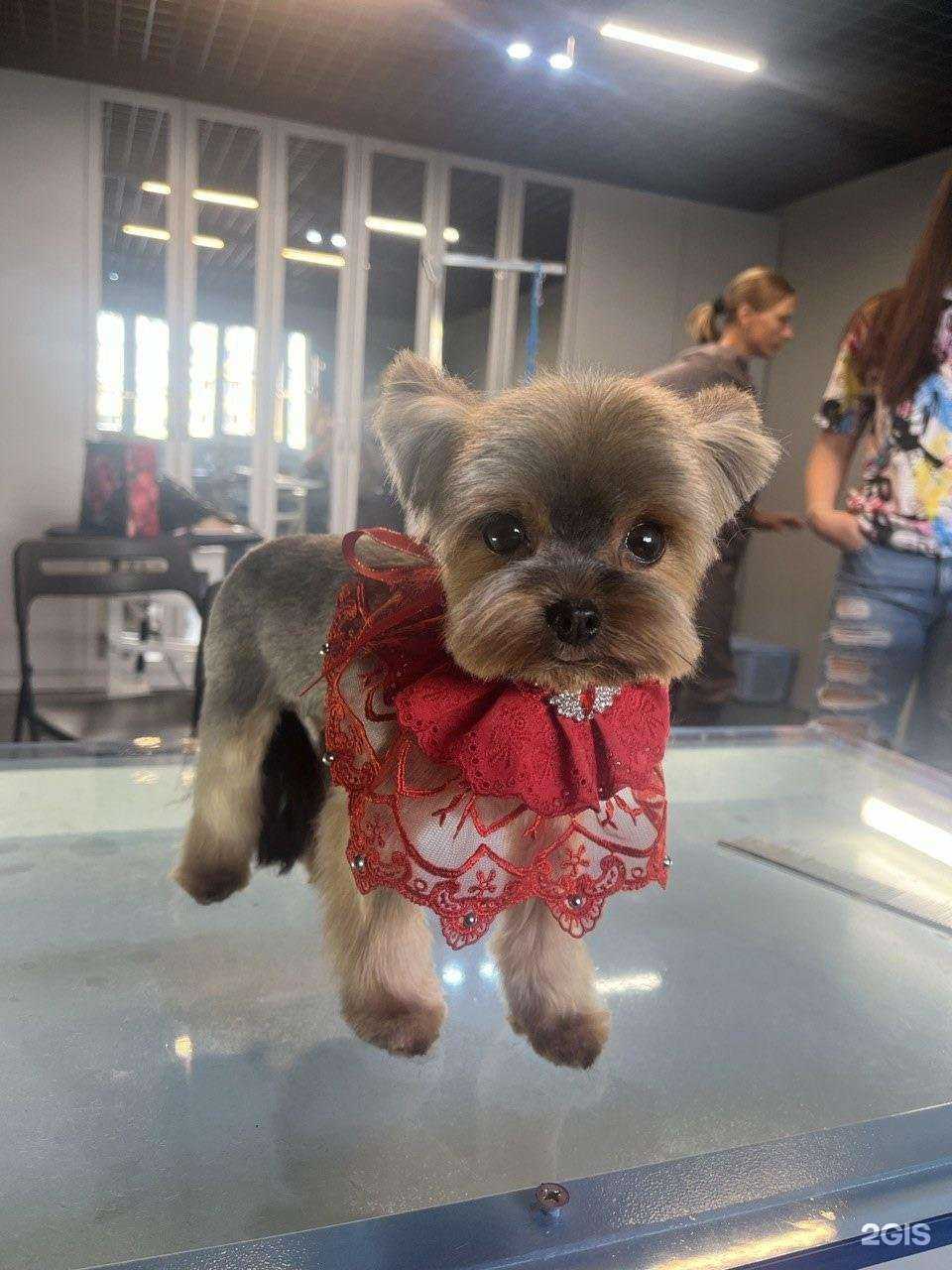 Отзывы на компанию Милорд в Челябинске c фото