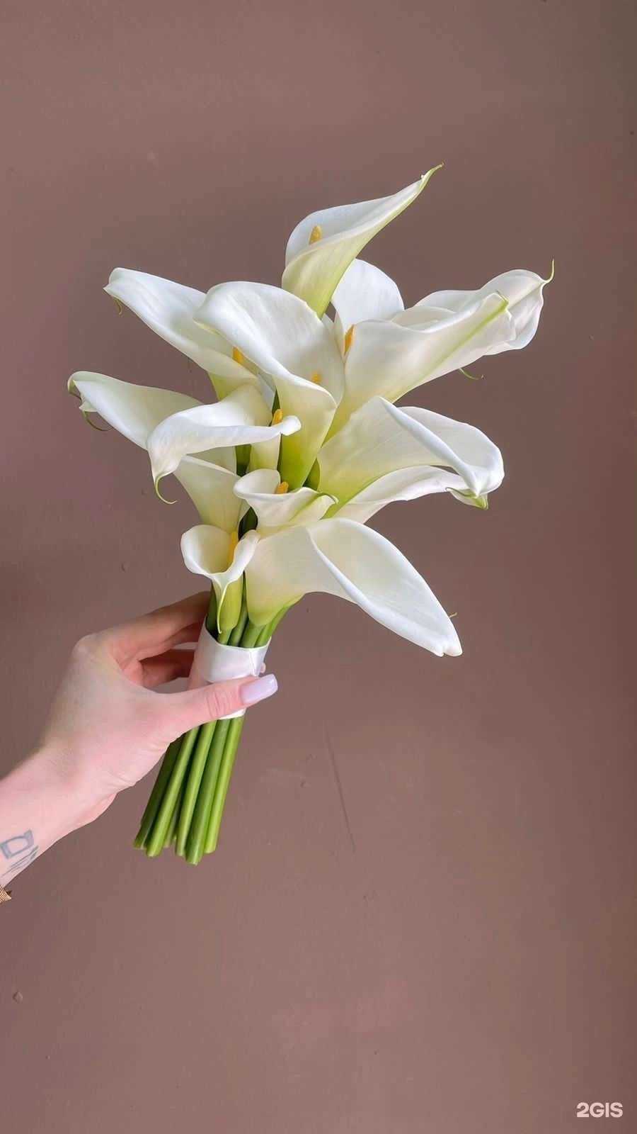 Отзывы на компанию Пан Тюльпан в Петрозаводске c фото