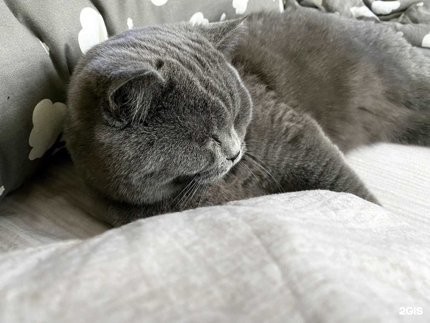 Отзывы на компанию Альфа-шанс в г. Павловский Посад c фото