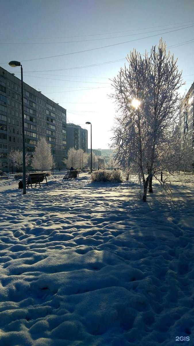Отзывы на компанию Школа математики, бизнеса и права в Новокузнецке c фото - фотография 2 из 2