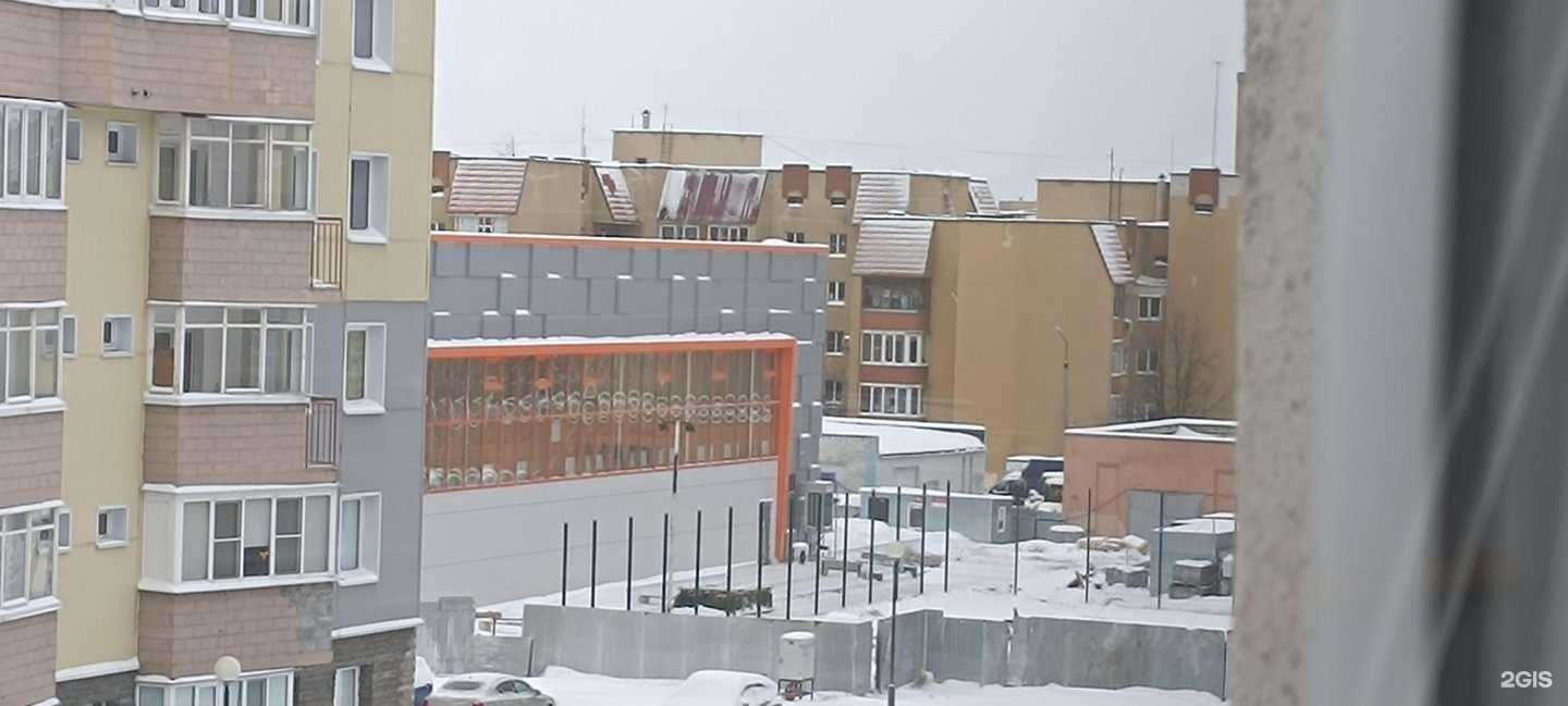 Отзывы на компанию Секция тхэквондо в Старом Осколе c фото - фотография 2 из 2