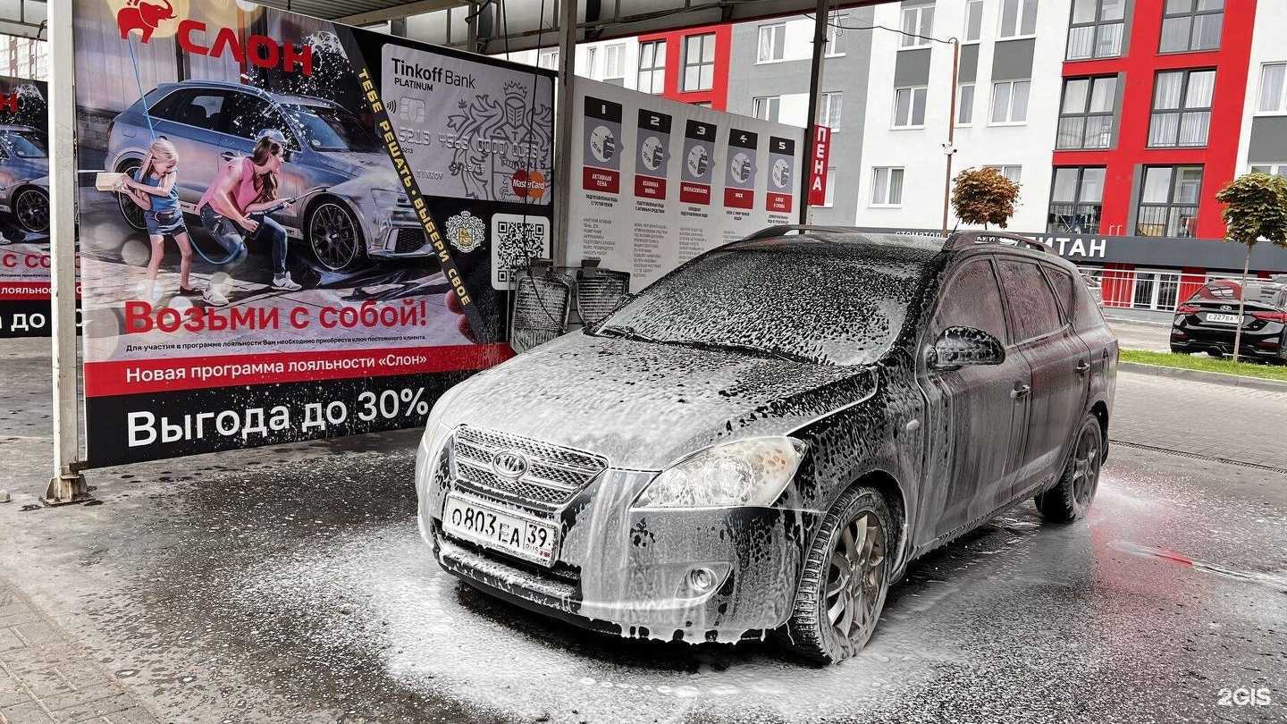 Отзывы на компанию Слон в Светлогорске c фото