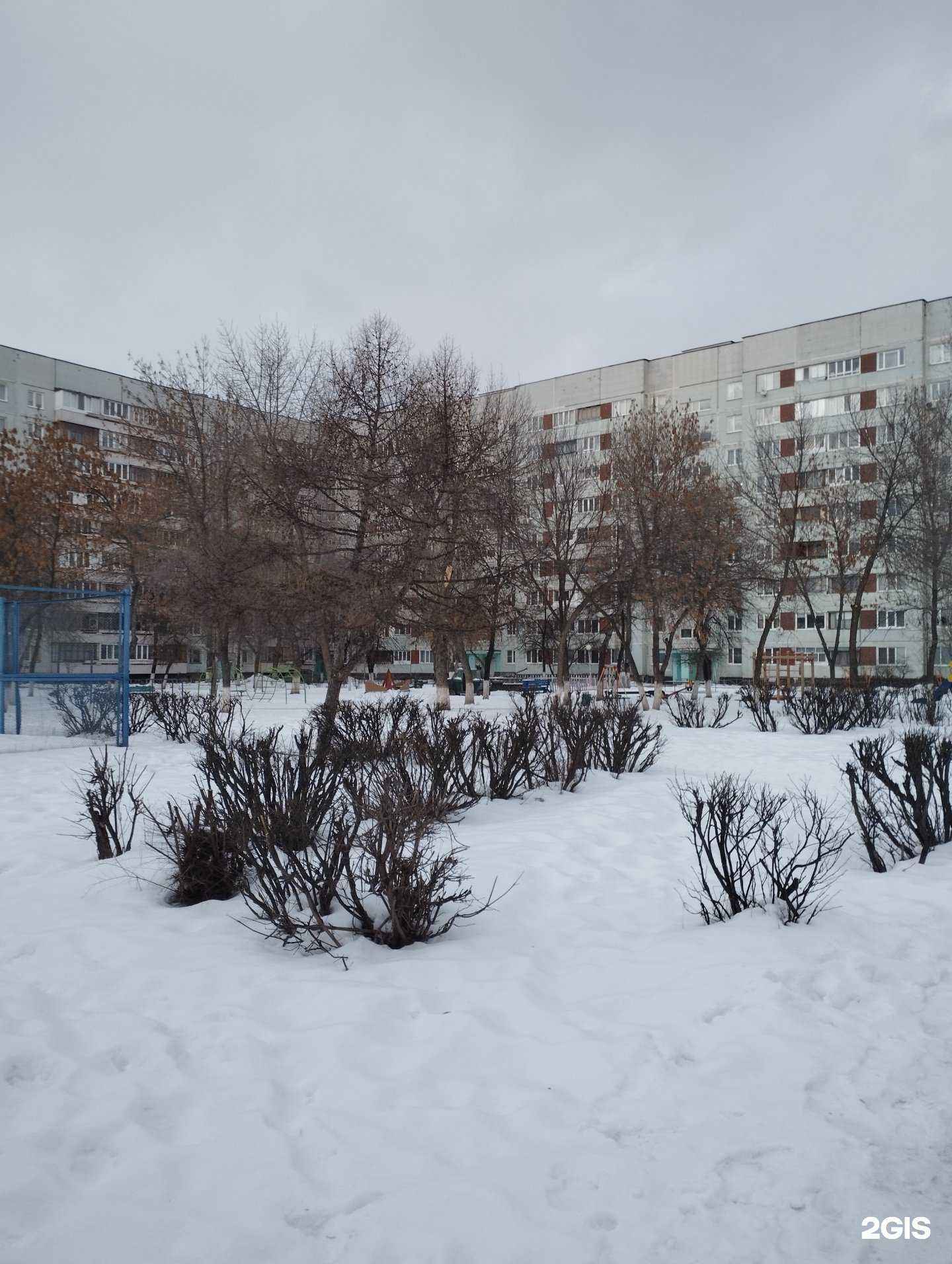 Отзывы на компанию Зебра в Ульяновске c фото - фотография 2 из 2