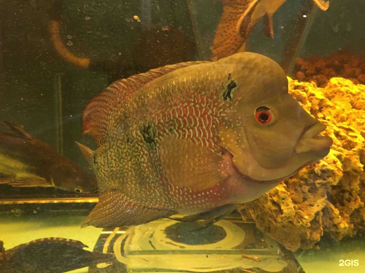 Отзывы на компанию Мир природы в г. Рязань c фото