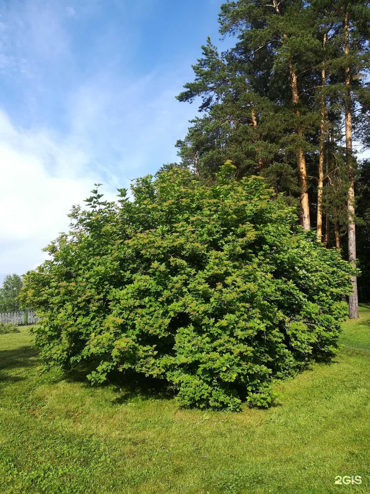 Отзывы на компанию ДЖУНИОР в Бердске c фото - фотография 2 из 2