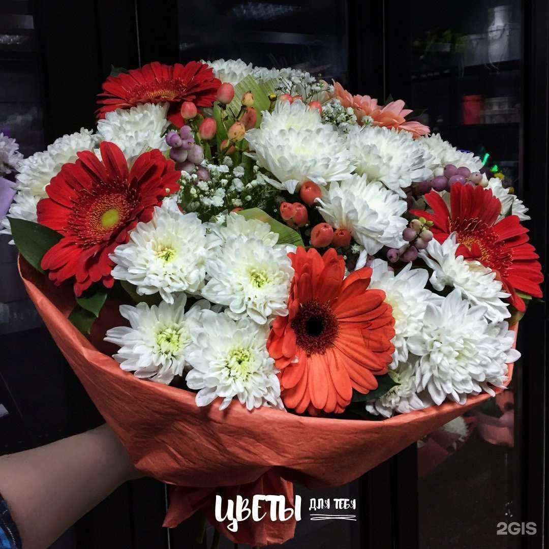 Отзывы на компанию Весна в Мончегорске c фото