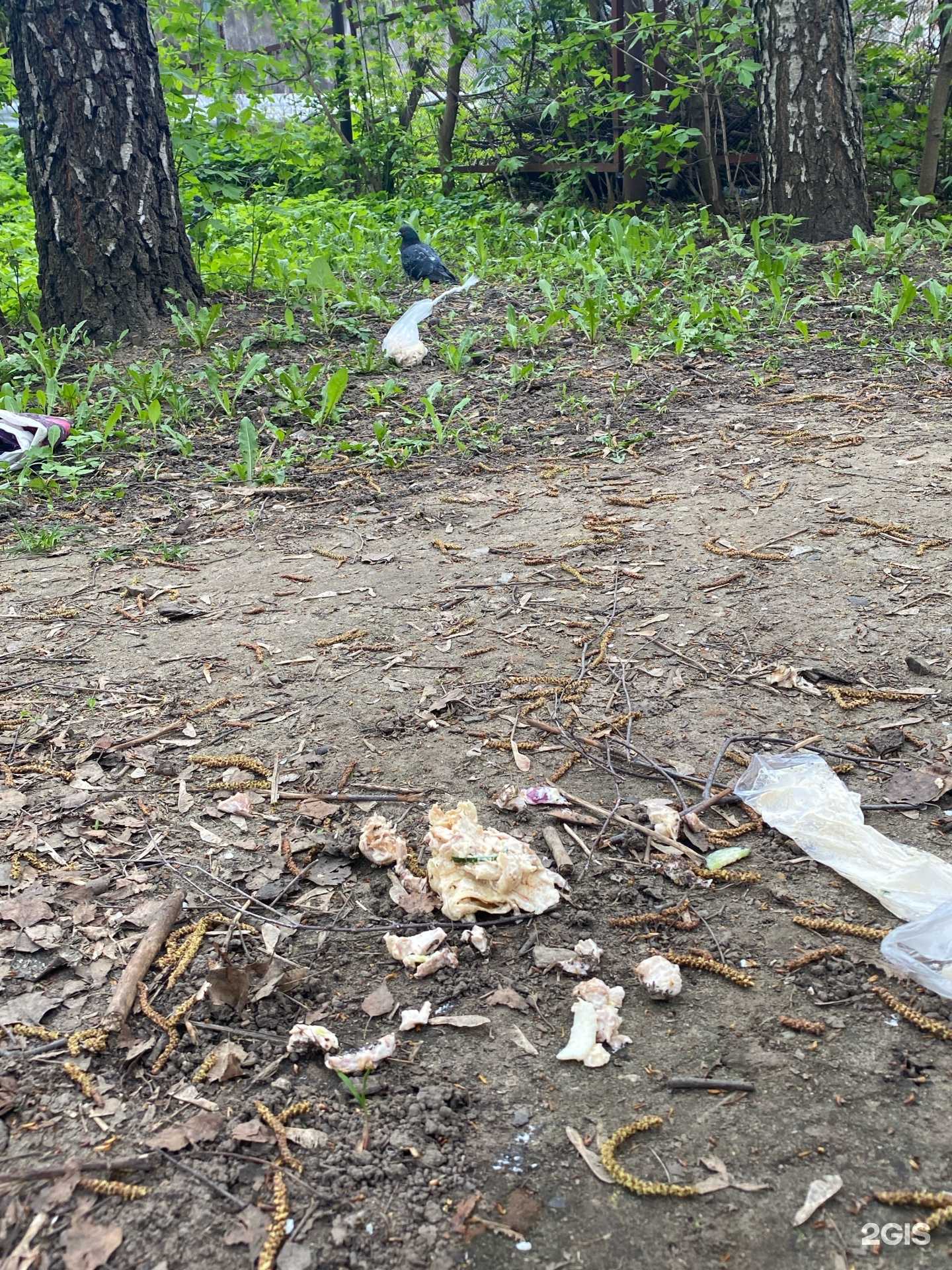 Отзывы на компанию Шаурмания в г. Калуга c фото