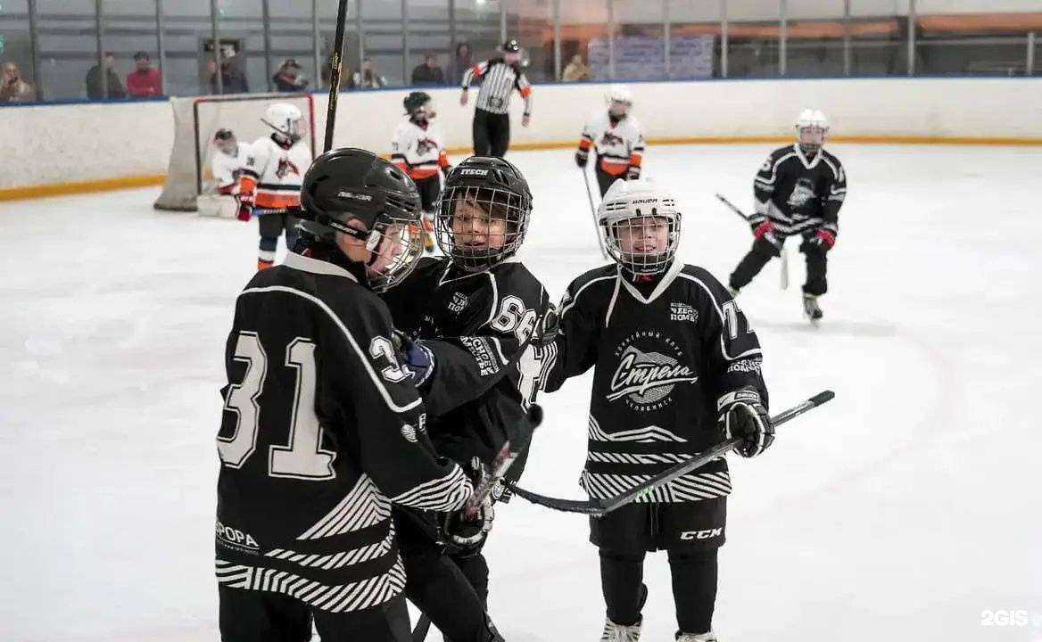 Отзывы на компанию Стрела в Челябинске c фото