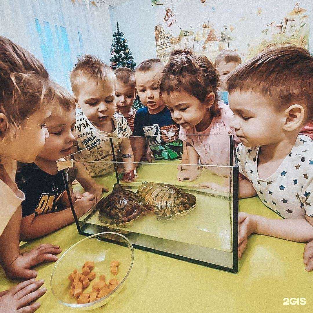 Отзывы на компанию Mini bambini в г. Казань c фото