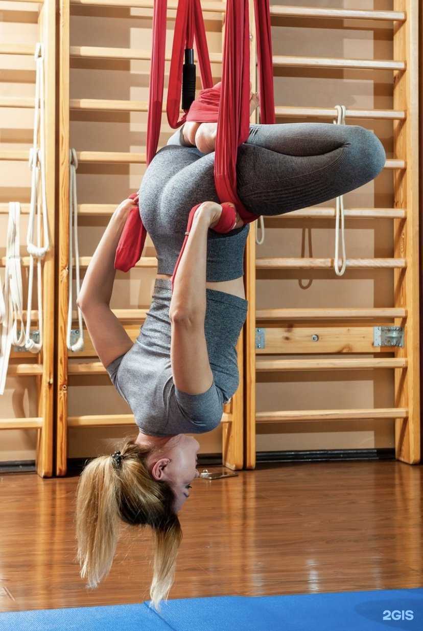 Отзывы на компанию Fitness division в г. Армавир c фото