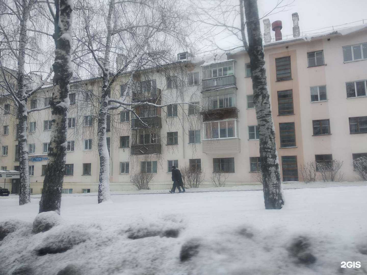 Отзывы на компанию Садовый центр в Чебоксарах c фото - фотография 2 из 2