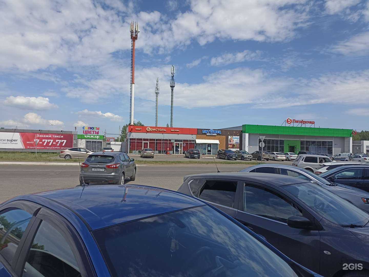 Отзывы на компанию Питомец в Елабуге c фото