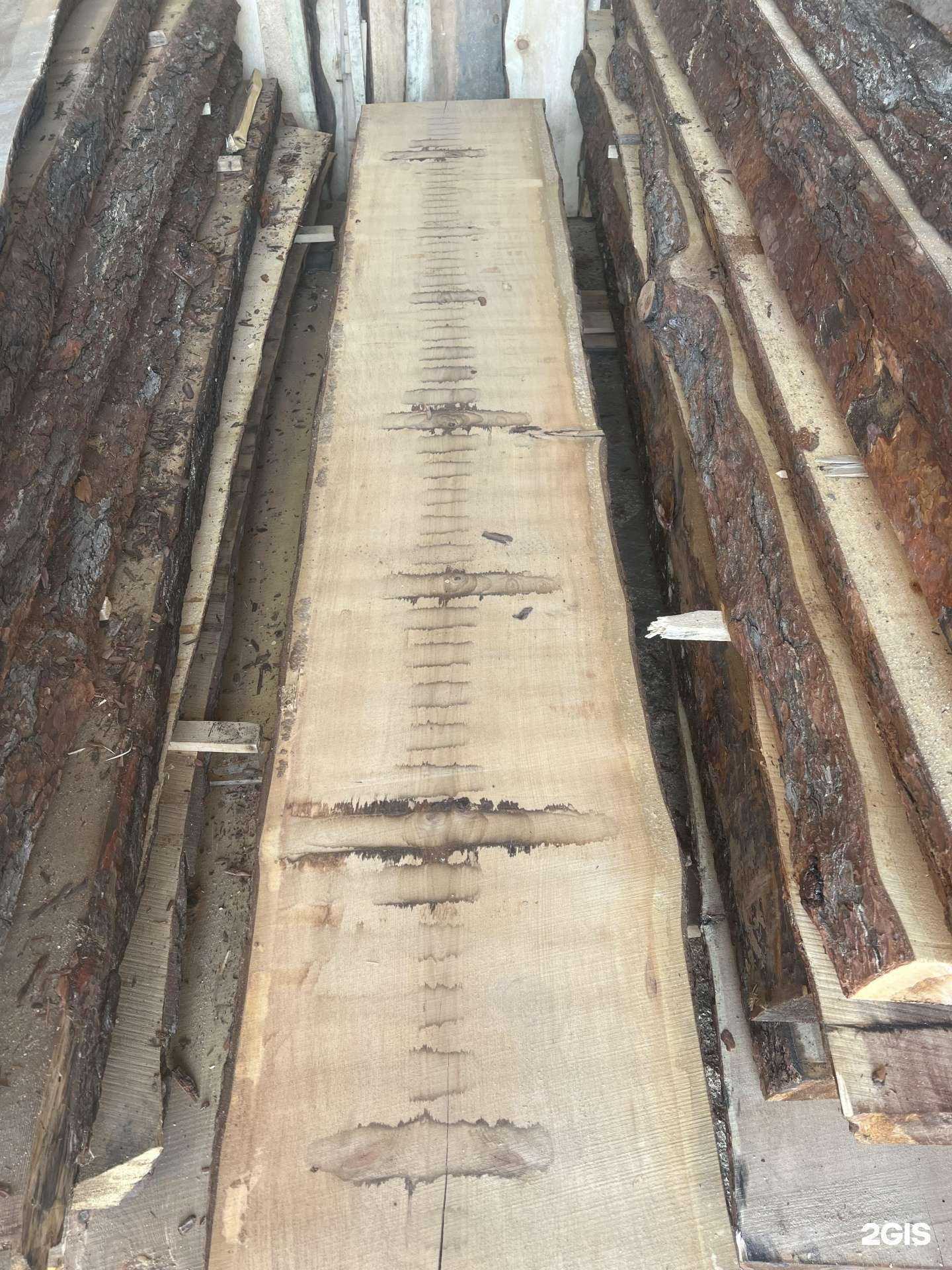 Отзывы на компанию Сухой Лес 54 в Новосибирске c фото