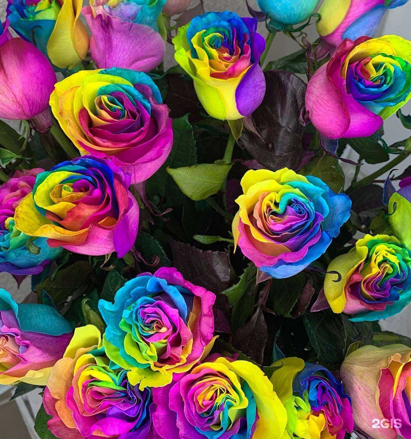 Отзывы на компанию Стрелиция в г. Красноярск c фото