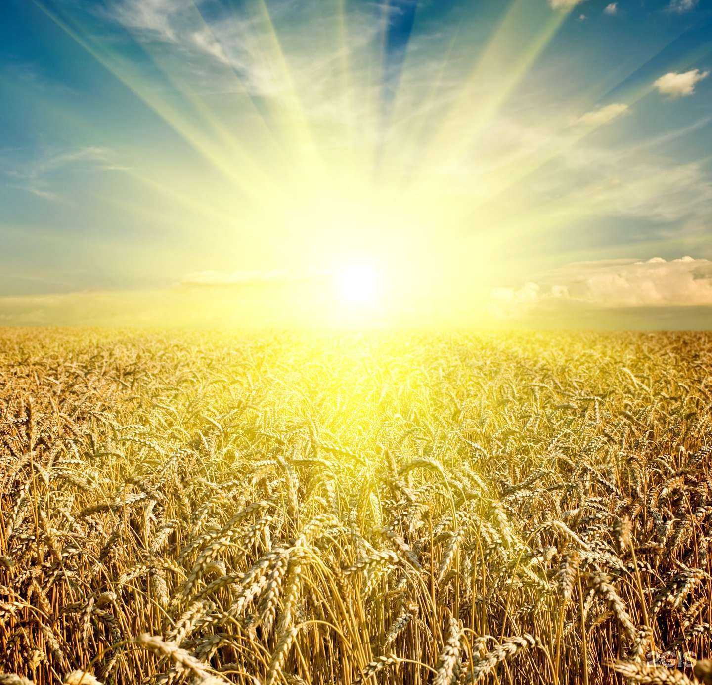 Отзывы на компанию Средняя общеобразовательная школа №5 в Буйнакске c фото